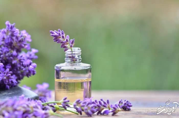 تقویت ابرو با روغن اسطوخدوس روغن اسطوخدوس